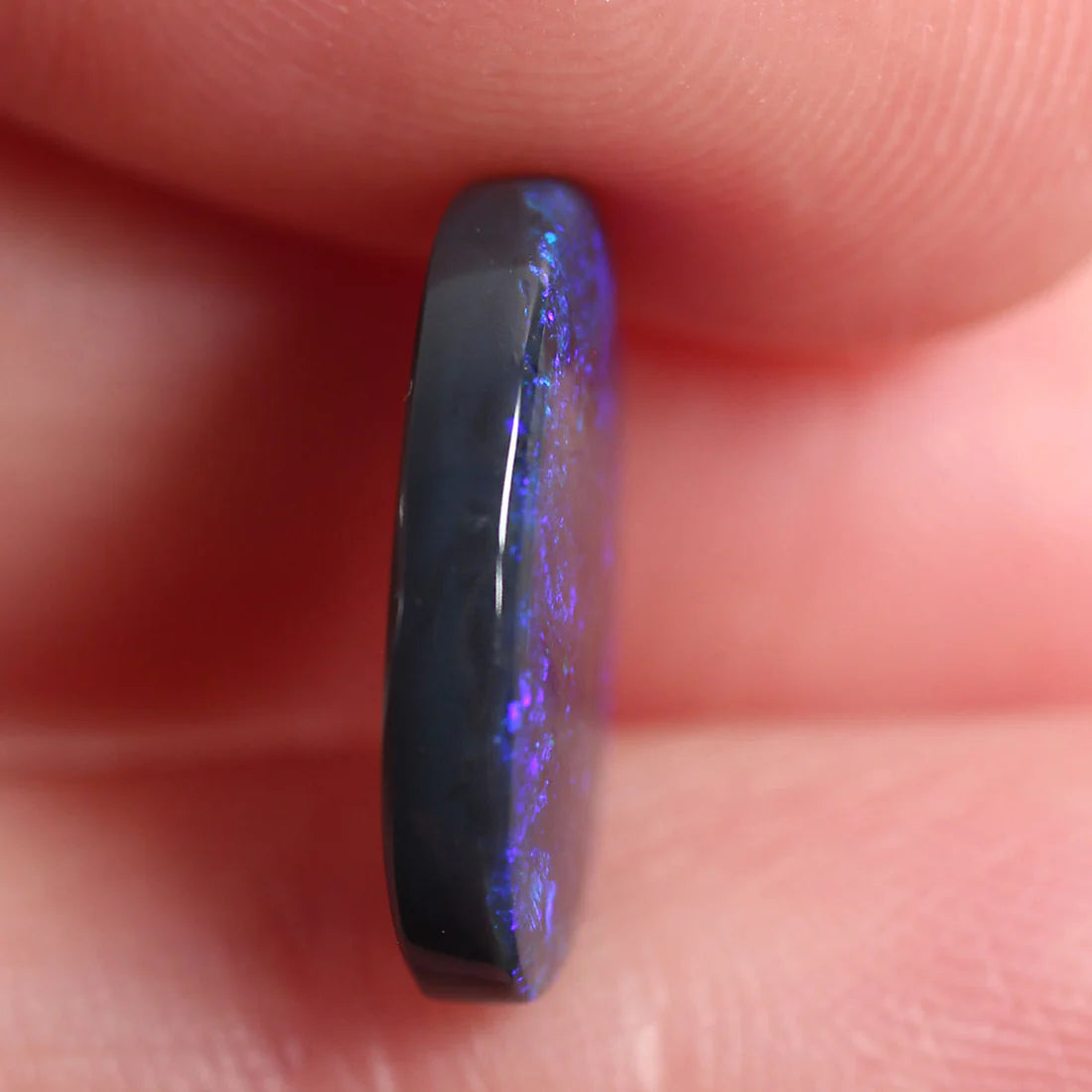 2.7ct (14x9.4x2.9mm) Black Opal