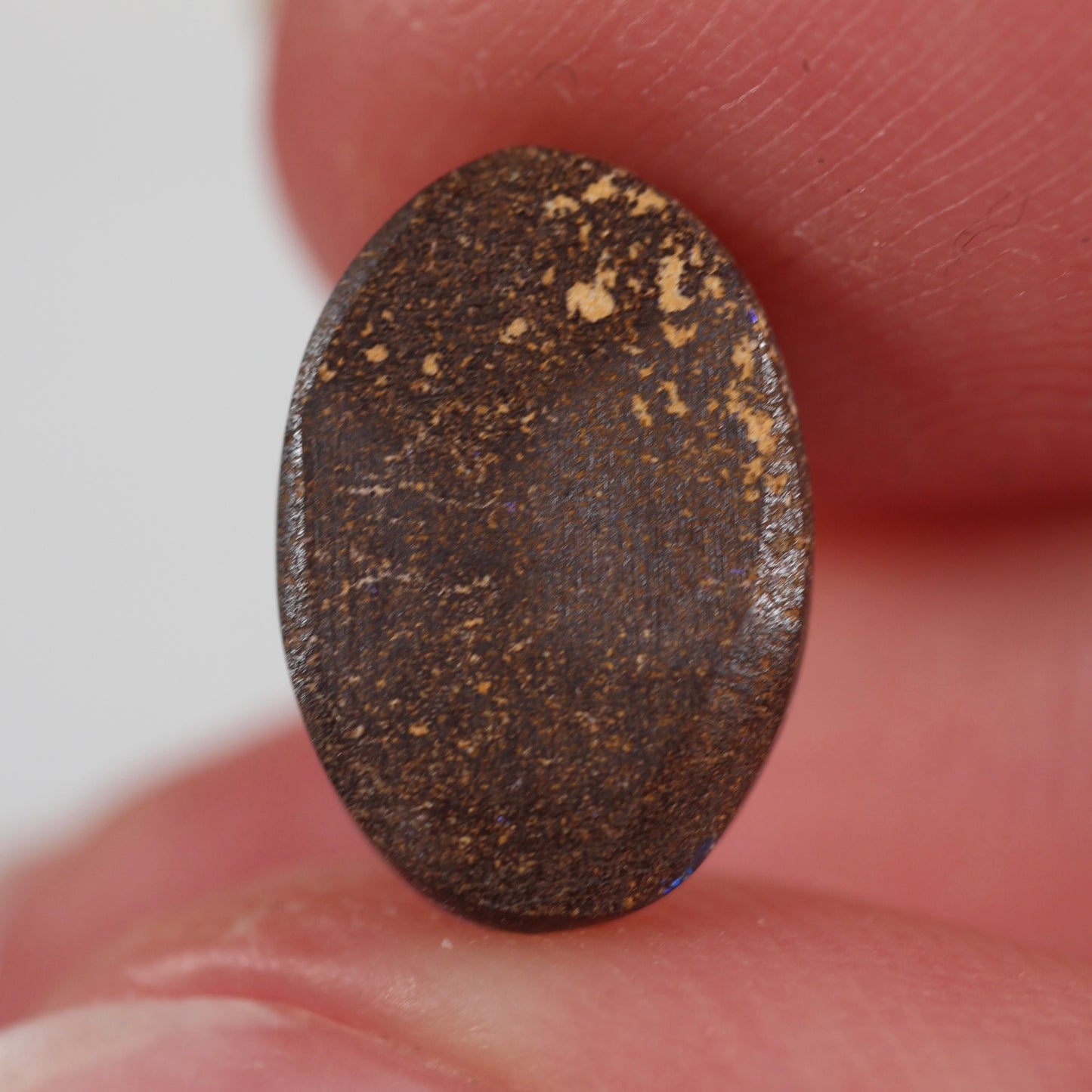 2.86ct (11.7x8.1x3.2mm) Boulder Opal