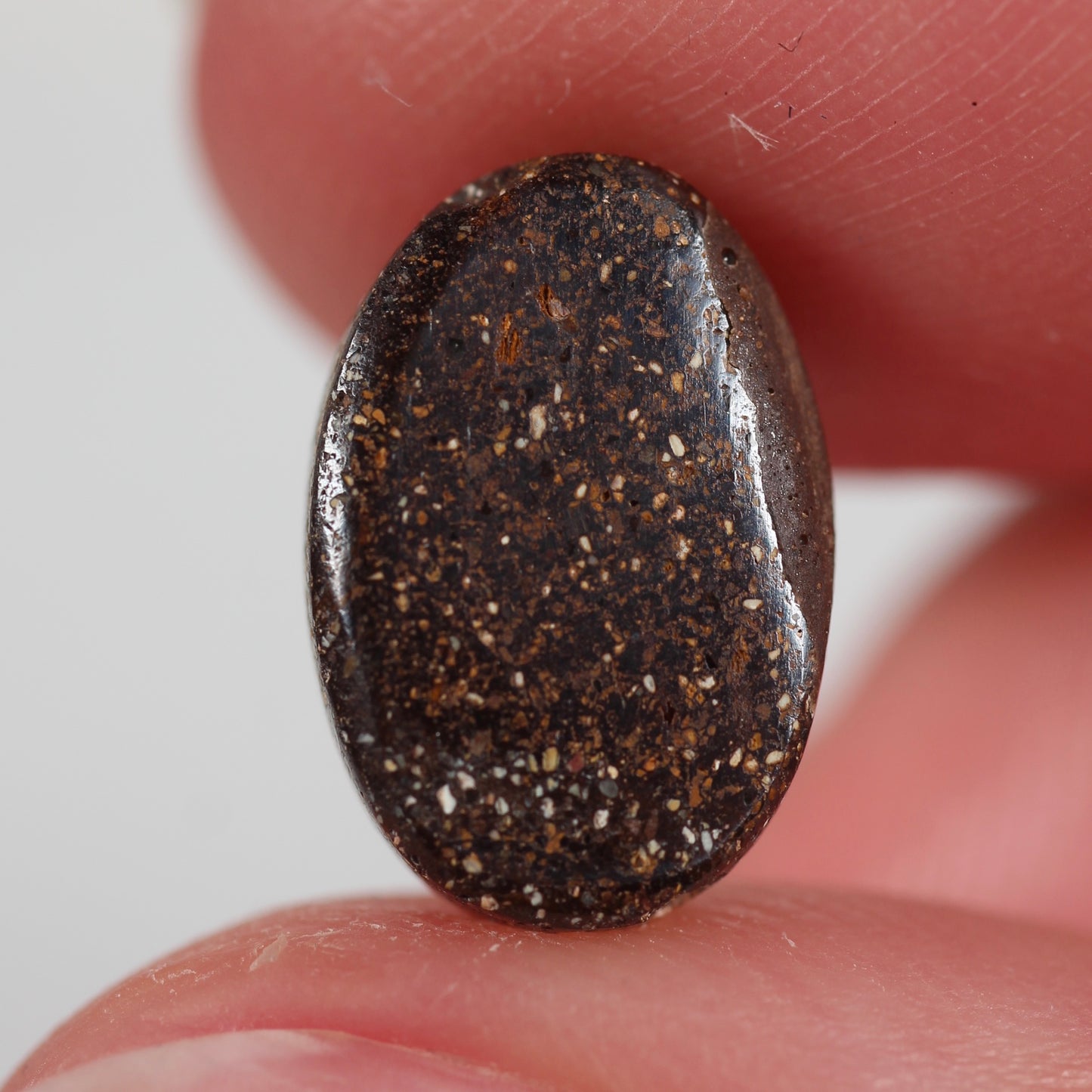 3.5ct (12.1x8.3x3.6mm) Boulder Opal