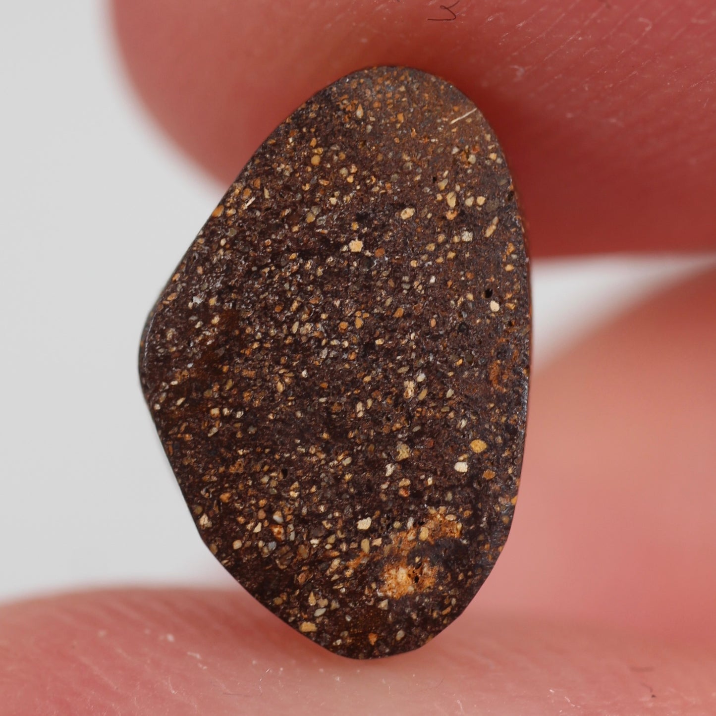 2.19ct (11.2x7.4x2.8mm) Boulder Opal