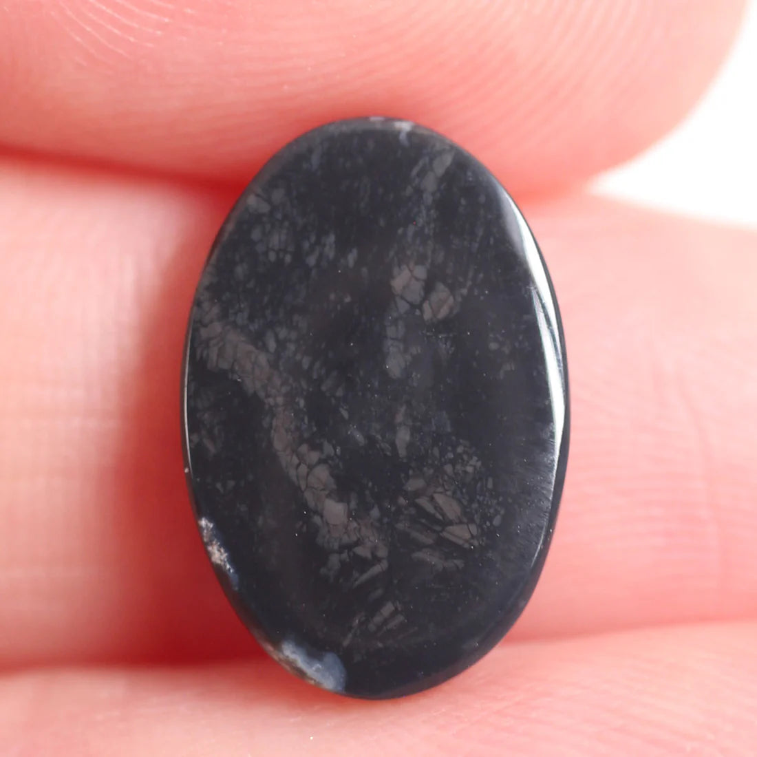2.7ct (14x9.4x2.9mm) Black Opal