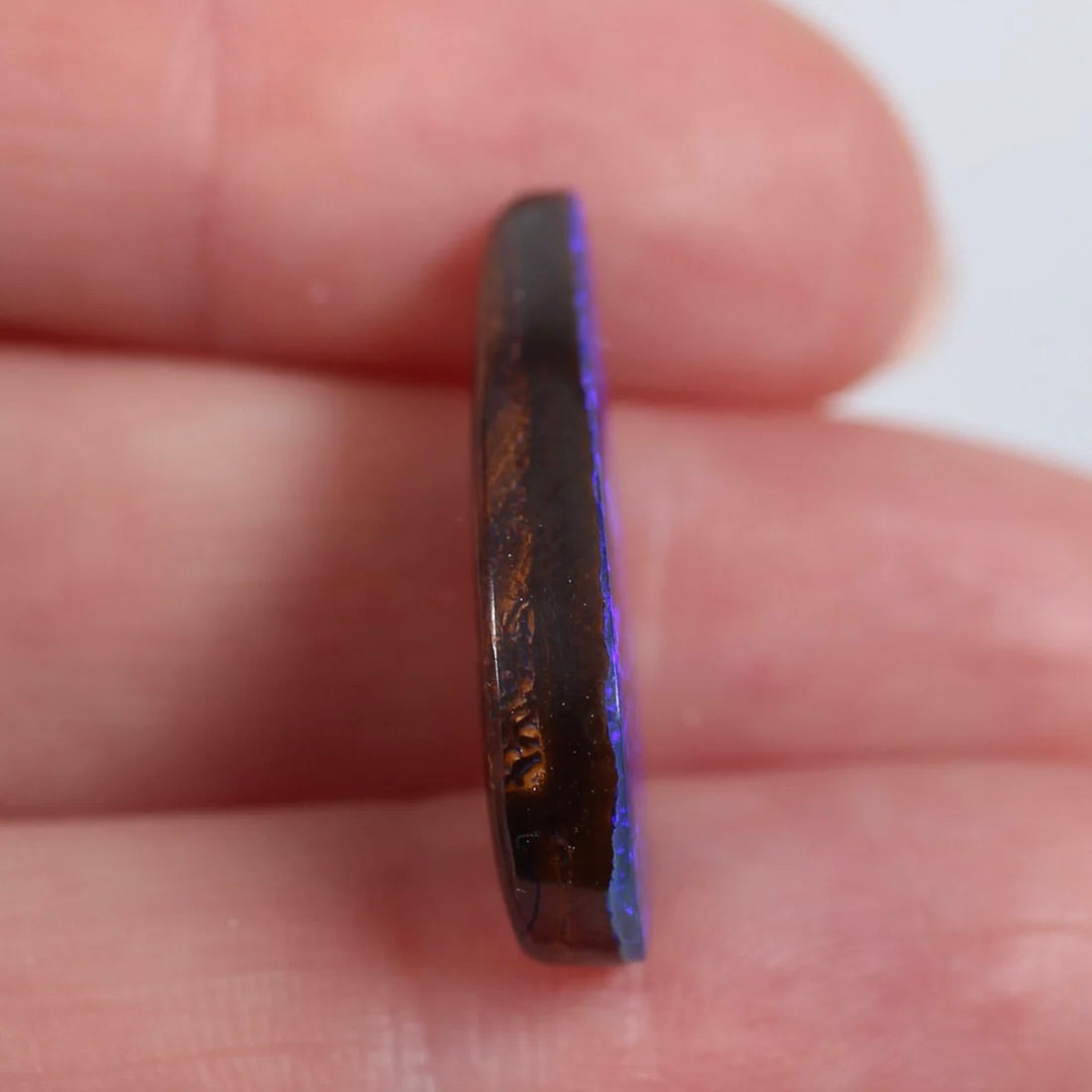 12.5ct (24x12x4.5mm) Boulder Opal