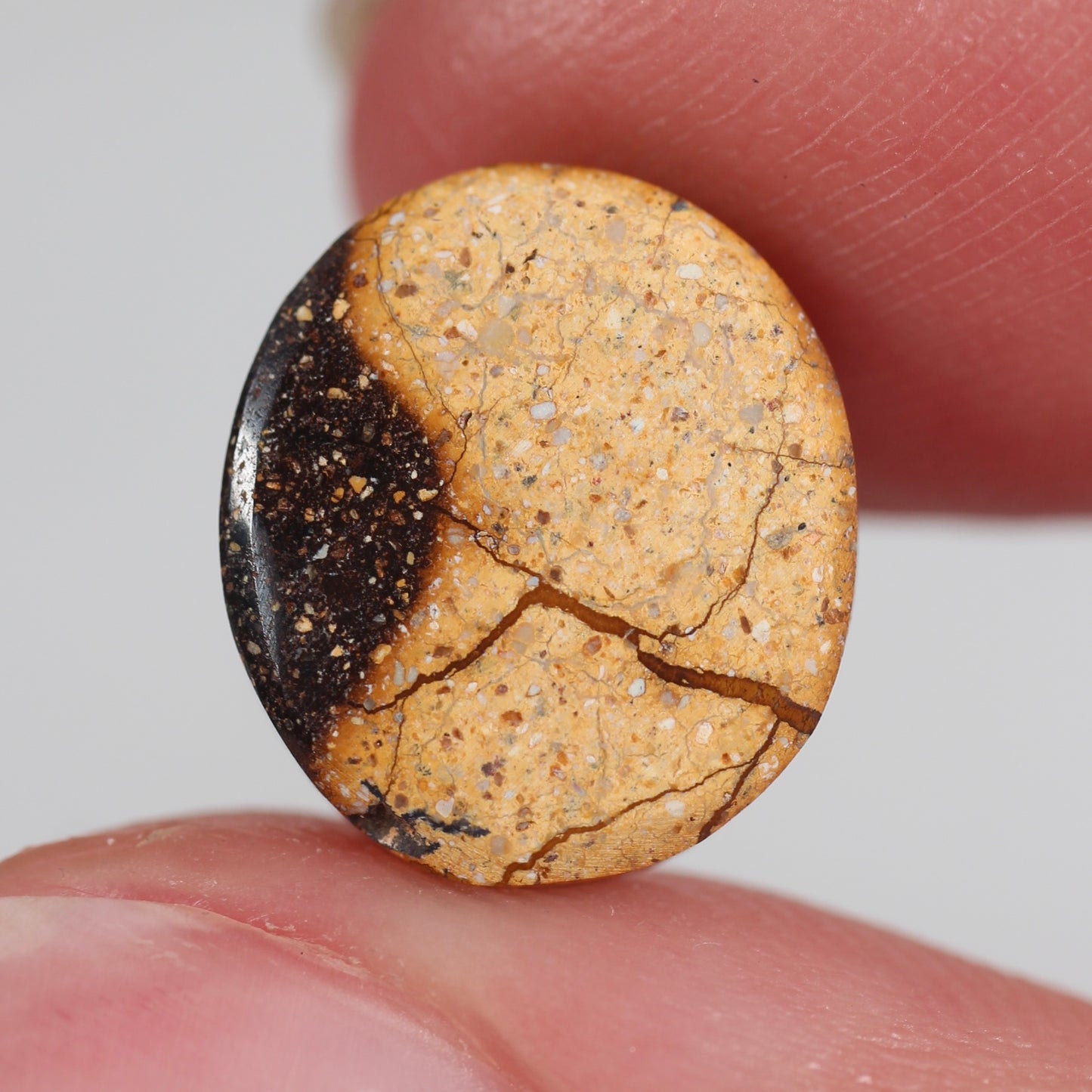 4.3ct (11.9x10.3x3.4mm) Boulder Opal