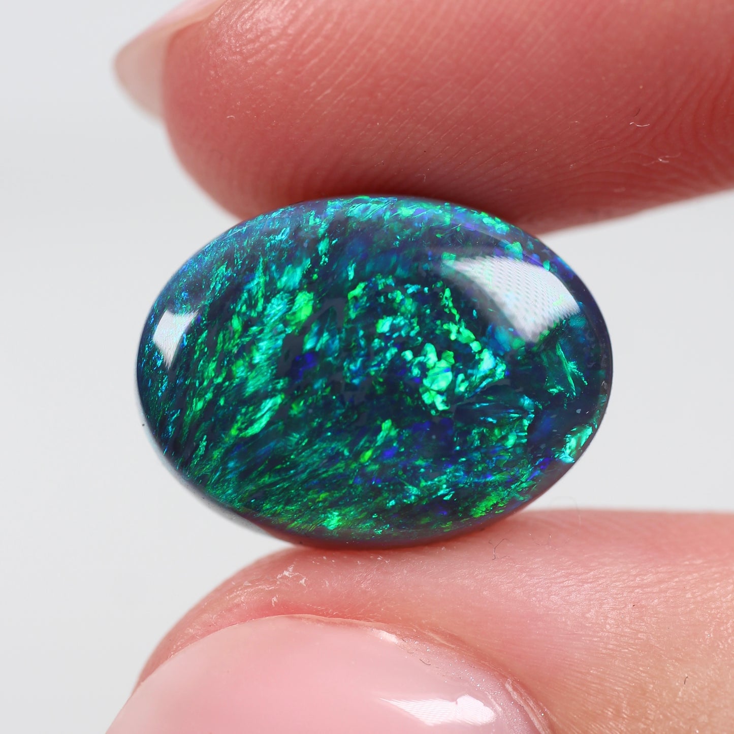 6.20ct (15.8x11.9x4.5mm) Black Opal