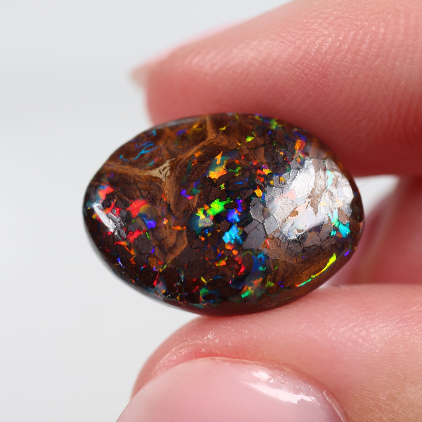 10.6cts (18.5x13.4x5.2mm) Boulder Opal
