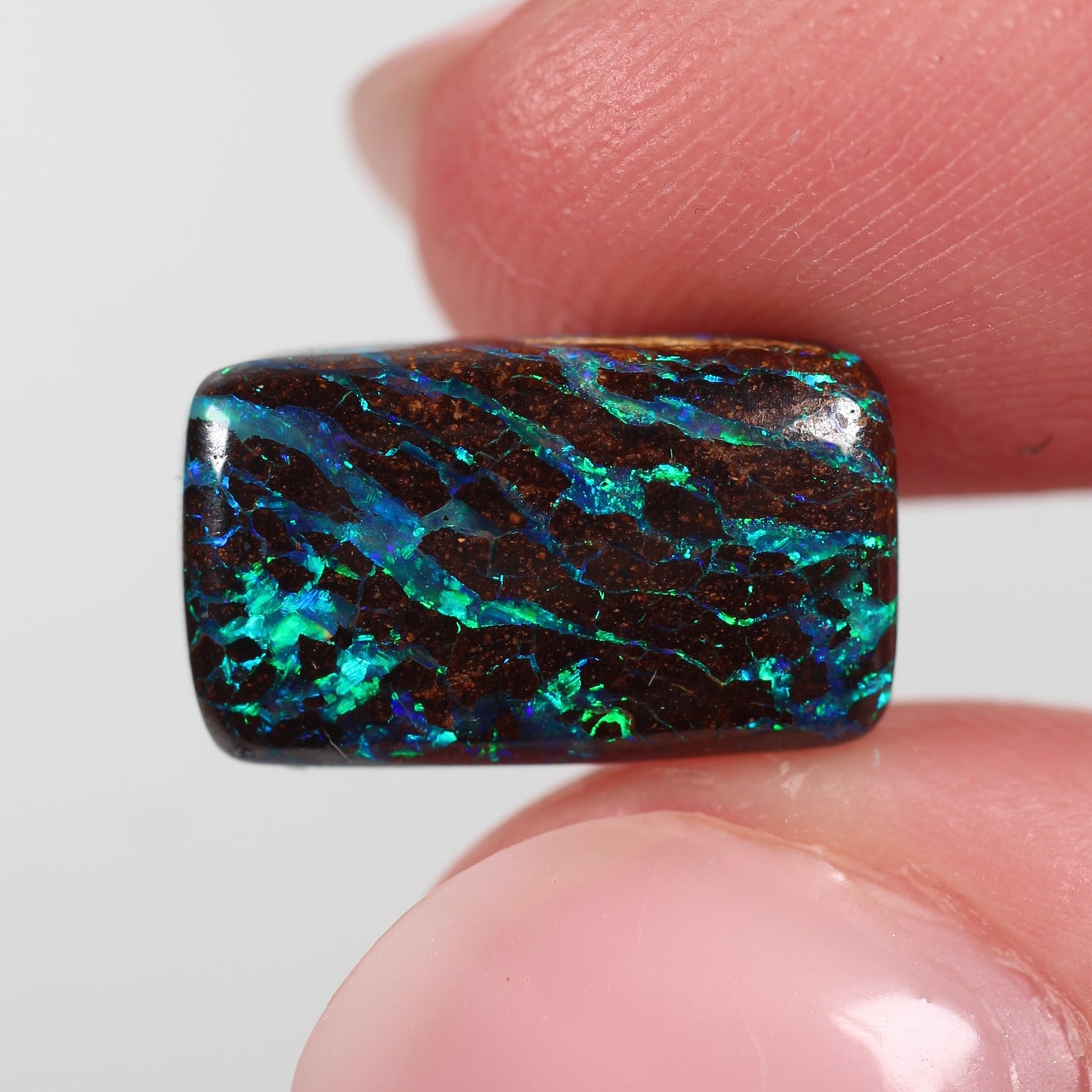 5.1ct (14.0x8.3x3.8mm) Boulder Opal