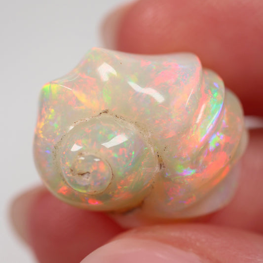 16.56ct (19.27x15.88x11.58mm) Snail Fossil Crystal