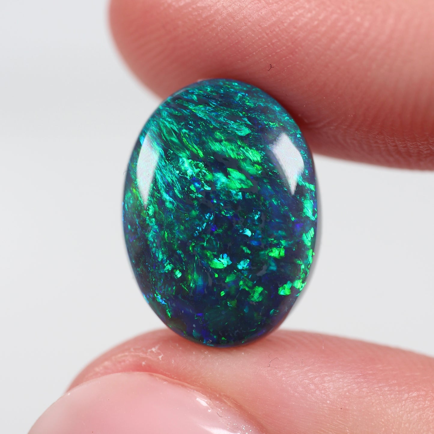 6.20ct (15.8x11.9x4.5mm) Black Opal